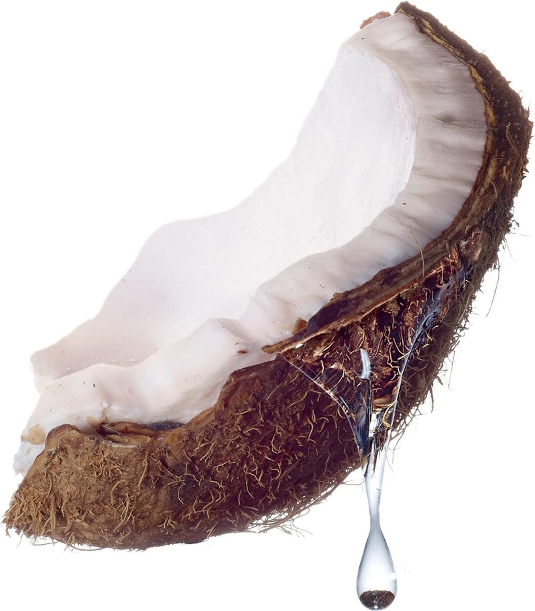 Maybelline Total Temptation Waterproof Mascara - 001 Zwart 7 Maybelline Total Temptation Waterproof Mascara - 001 Zwart - Afbeelding 5