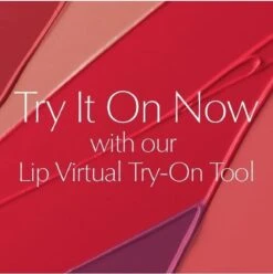 Estée Lauder Pure Color Envy Sculpting Lipstick - 330 Impassioned -Cosmetica Winkel 1193x1200 1