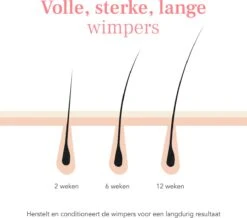 Lashive Wimperserum - Wimper Groeiserum - 3 Ml - Wenkbrauw Serum - Lash Lift Kit - Lashserum -Cosmetica Winkel 1200x1060
