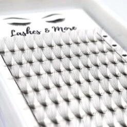 Lashes & More - Nepwimpers - 10D 11mm 0.05 D Krul - Pre-Made Volume Fans – Russian Volume – Pre-Made Fans- Wimperextensions – Wimper Extensions - Verkrijgbaar In Lengte 9mm Tot 15mm 8 Lashes & More - Nepwimpers - 10D 11mm 0.05 D Krul - Pre-Made Volume Fans – Russian Volume – Pre-Made Fans- Wimperextensions – Wimper Extensions - Verkrijgbaar In Lengte 9mm Tot 15mm -Cosmetica Winkel 1200x1200 172