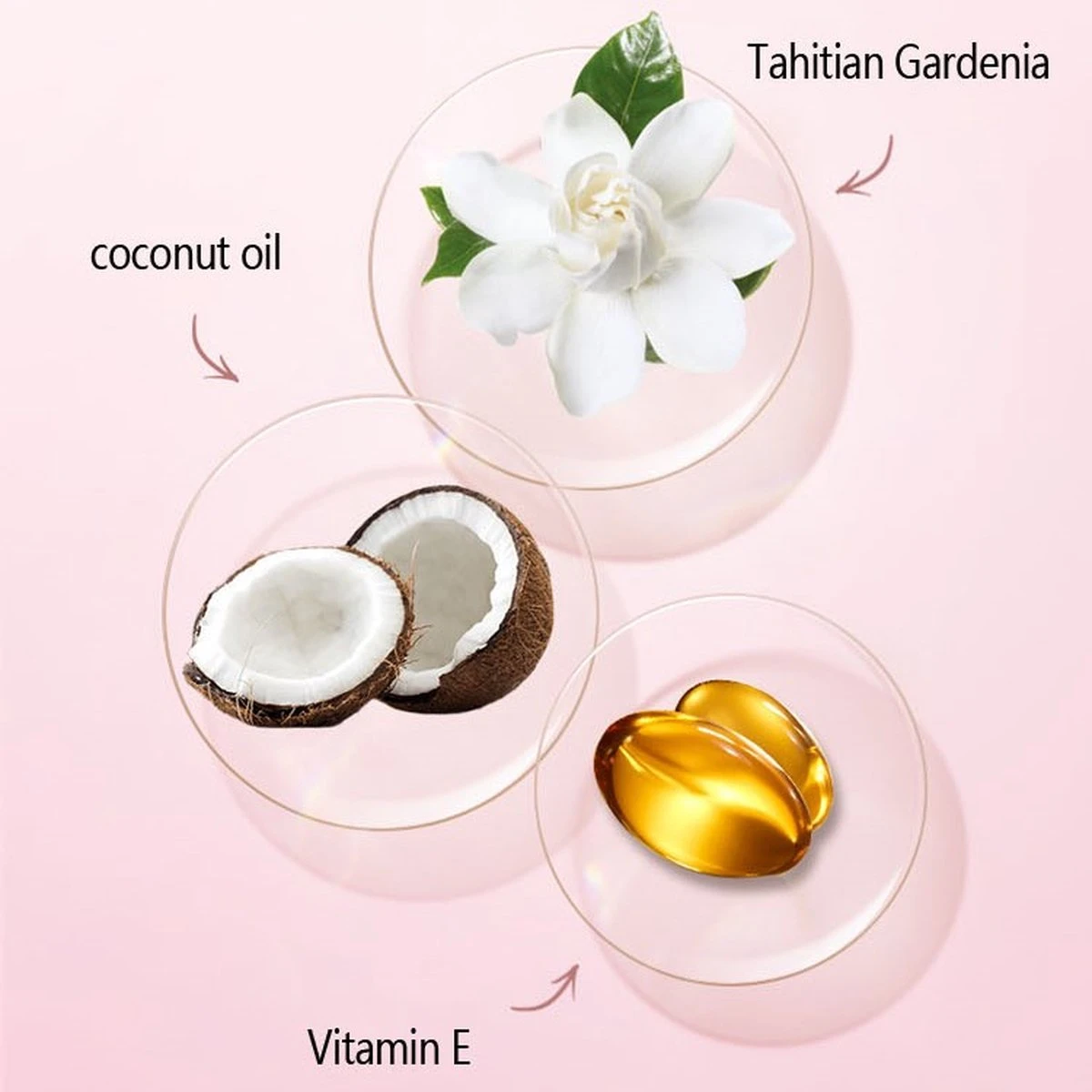 Palm Brow Styling Soap - 100% Vegan - Wenkbrauw Styling Zeep - Wenkbrauwgel Met Langdurig Effect – Veilig En Natuurlijk – Brow Shaping - Wenkbrauw Soap 10 Palm Brow Styling Soap - 100% Vegan - Wenkbrauw Styling Zeep - Wenkbrauwgel Met Langdurig Effect – Veilig En Natuurlijk – Brow Shaping - Wenkbrauw Soap - Afbeelding 8