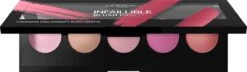 L'Oréal Paris Infaillible Blush Paint - 01 Pink - Blush Palet 7 L'Oréal Paris Infaillible Blush Paint - 01 Pink - Blush Palet -Cosmetica Winkel 1200x348 1
