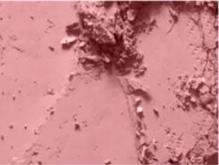 MAC Cosmetics Blush Mocha 9 MAC Cosmetics Blush Mocha -Cosmetica Winkel 1200x906 2